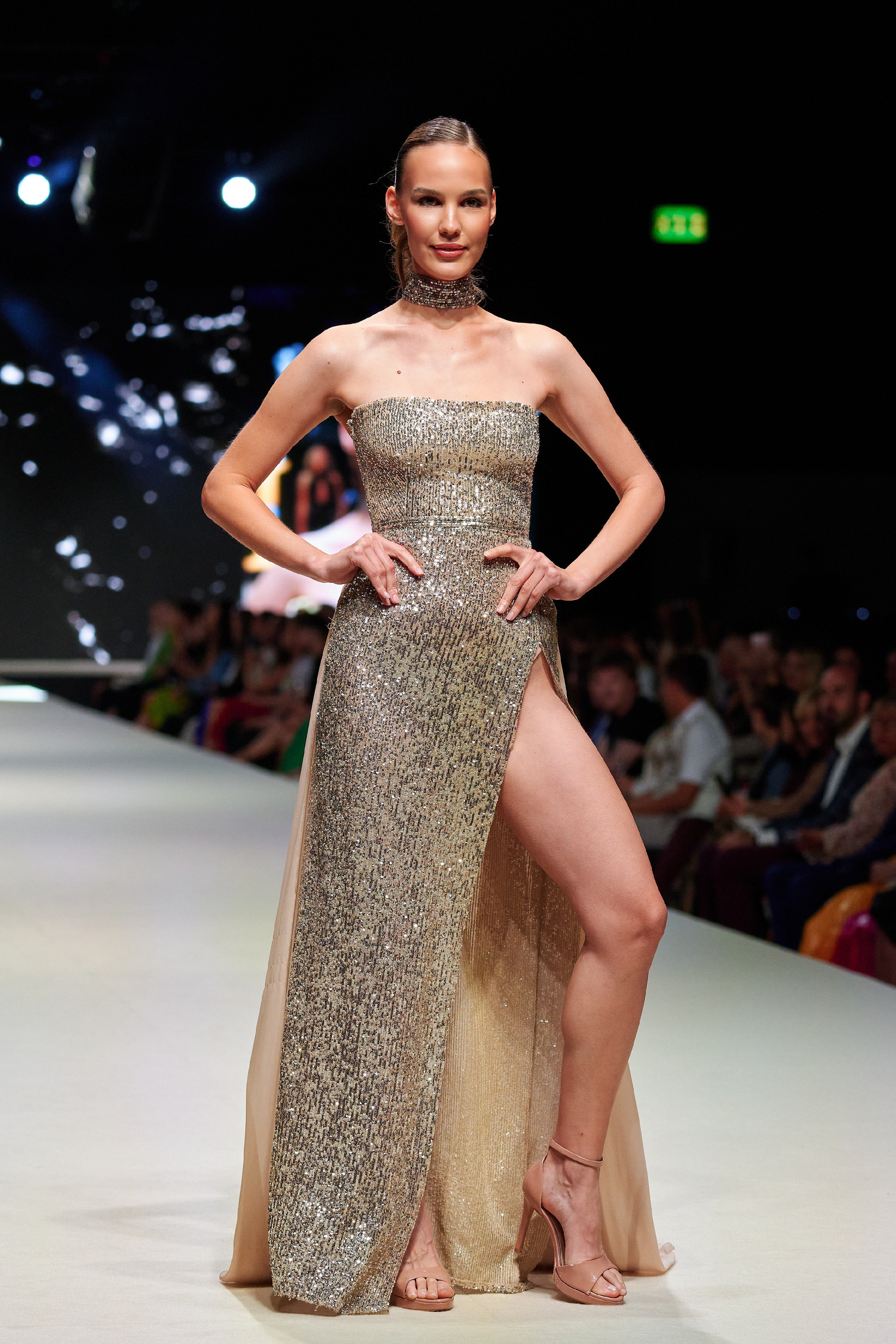 STŘÍBRNÉ ŠATY S VLEČKOU